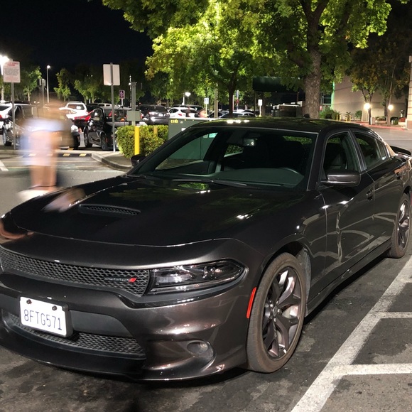 Meet your Posher, Eric - Picture 1 of 1